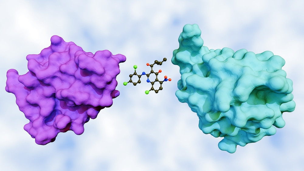 image of two proteins and a small molecule