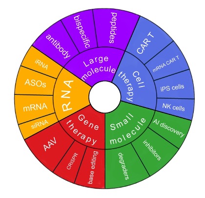 A circle divided into the five therapeutic classes of small molecules, large molecules, gene therapy, cell therapy, and RNA therapy