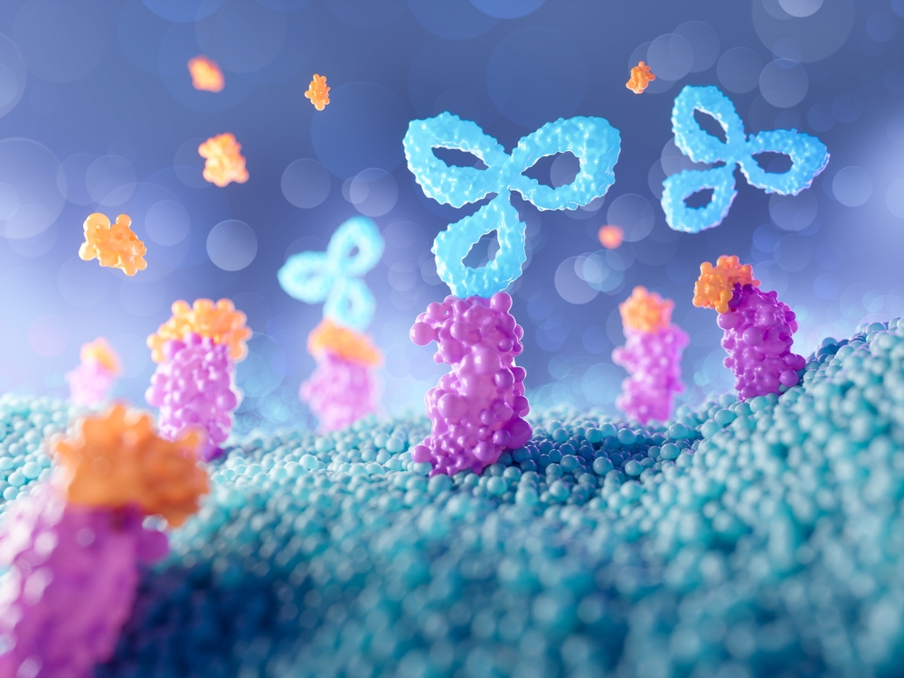 cartoon of antibody binding to cell