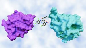 image of two proteins and a small molecule
